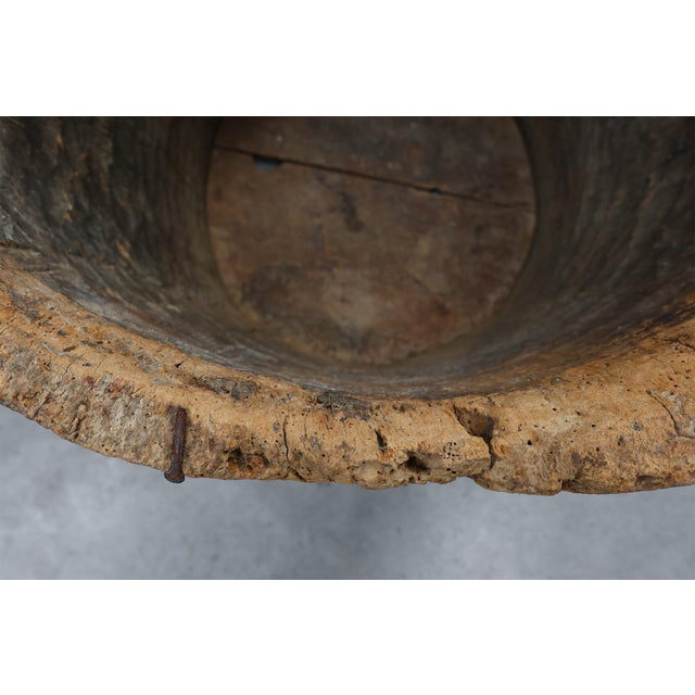 Brown 19th Century French Primitive Hollowed Oak Tree Trunk Planter For Sale - Image 8 of 11