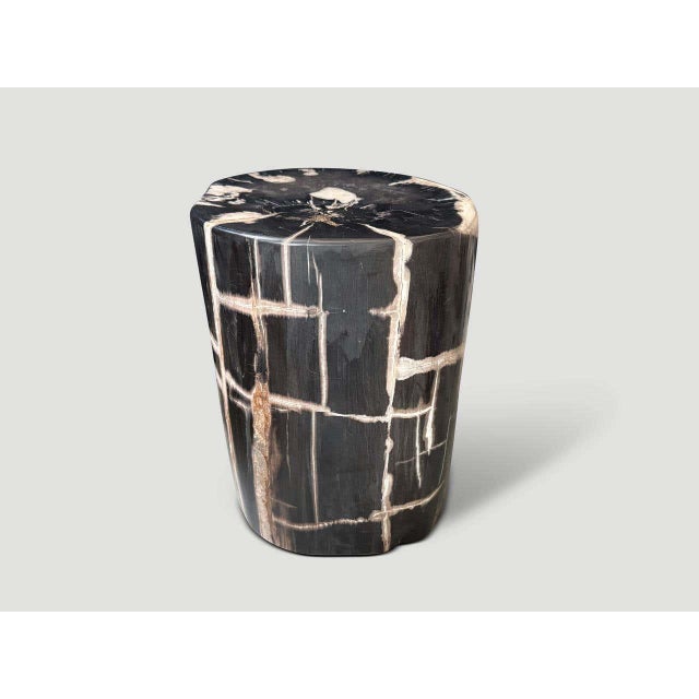 Contemporary Andrianna Shamaris Exquisite Ancient Petrified Wood Side Table For Sale - Image 3 of 8
