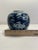 Blue 19th Century Chinese Blue and White Prunus Hawthorn Porcelain Ginger Jar Kangxi Mark For Sale - Image 8 of 9