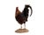 Life-Size Gamecock Taxidermy Mount Brilliant Red Orange Plumage Sand Mount Rooster For Sale - Image 4 of 17