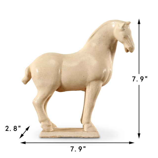 White Stallion Small, very cute.