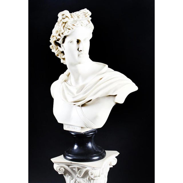 20th Century Composition Marble Bust of Apollo on Pedestal, Set of 2 For Sale - Image 3 of 15