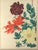 Japanese Japanese Woodblock Botanical Print of Three Dstinct Varieties of Dahlia by Tanigami Kōnon For Sale - Image 3 of 9