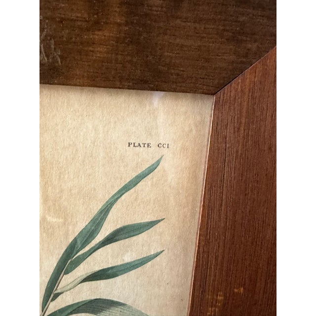 Mid 20th Century Canada Goose by John James Audubon – Framed Print From 1944 Macmillan Edition of the Birds of America For Sale - Image 5 of 9