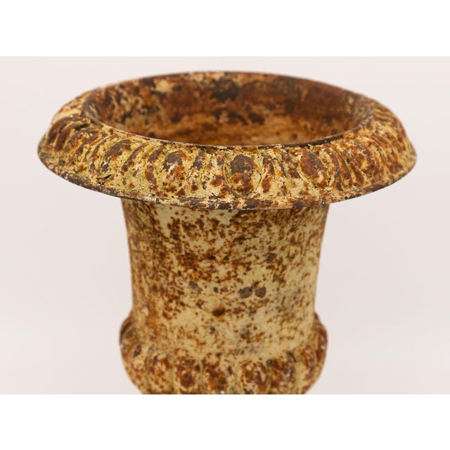 Metal Single Rusty Cast Iron Urn, French Early 20th Century For Sale - Image 7 of 10