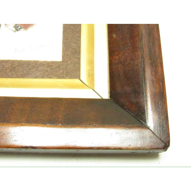 Brown Pair of Antique English Framed Moth Paintings For Sale - Image 8 of 18