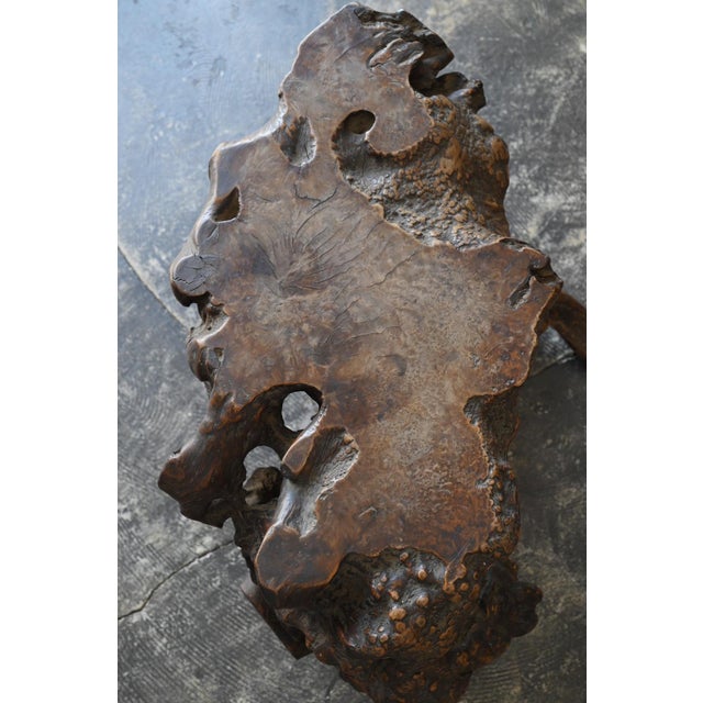 Antique Japanese Burl Wood Display Stand / Meiji-Showa / Organic One-of-a-Kind For Sale - Image 4 of 18