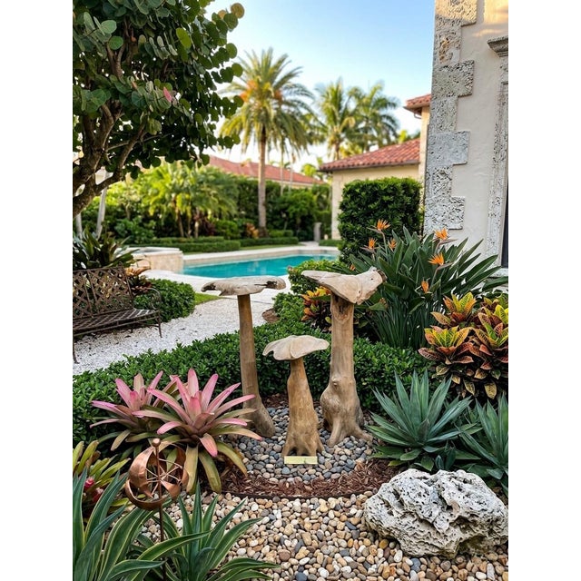 Camel Set of Vintage Organic Teak Driftwood Mushroom Sculptures, 3 Pieces For Sale - Image 8 of 12