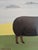 Contemporary 'Walter' Original Naive Style Animal Oil Painting by British Artist Matt Rix, Framed For Sale - Image 9 of 11
