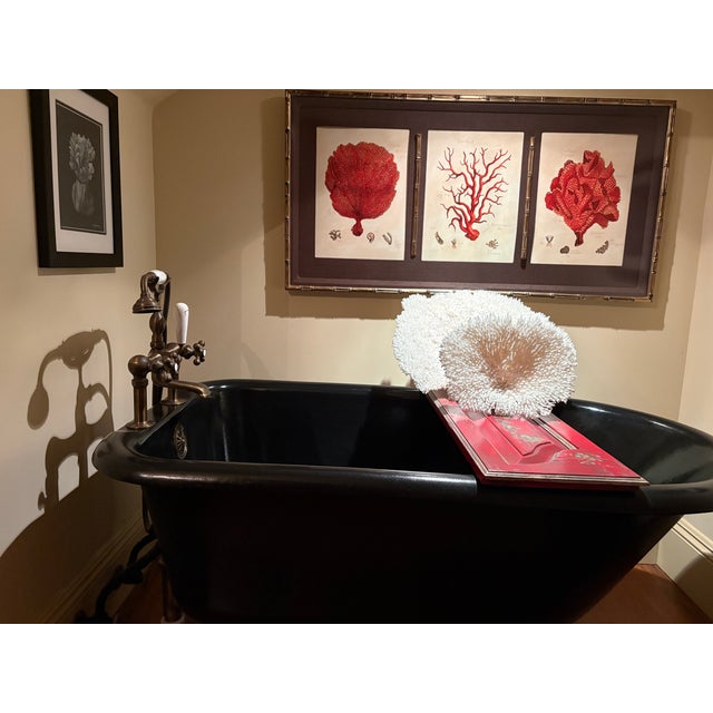 2000 - 2009 Bathtub - Custom Black "Sunrise Specialty" Cast Iron Bathtub. Excellent Condition, in Working Order. For Sale - Image 5 of 8
