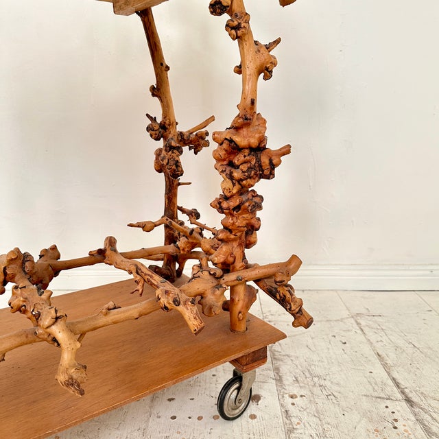 Mid-Century Bar Cart in Brown Burl, Plywood and Root Wood, 1960s For Sale - Image 11 of 14