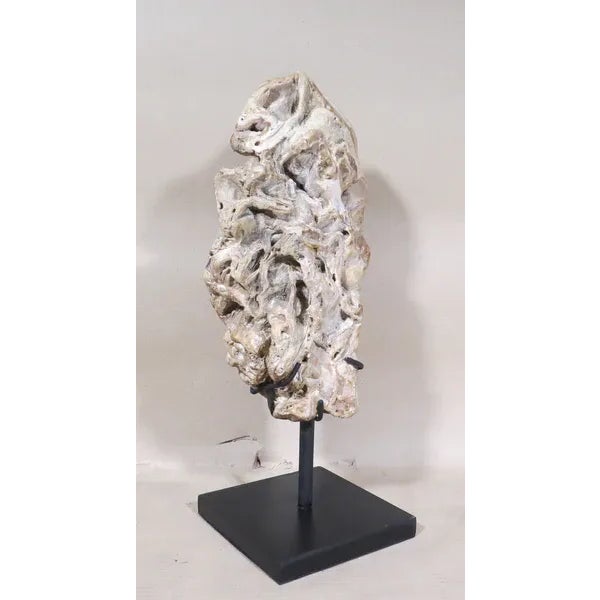 2010s Fossil Scholar Stone For Sale - Image 5 of 7