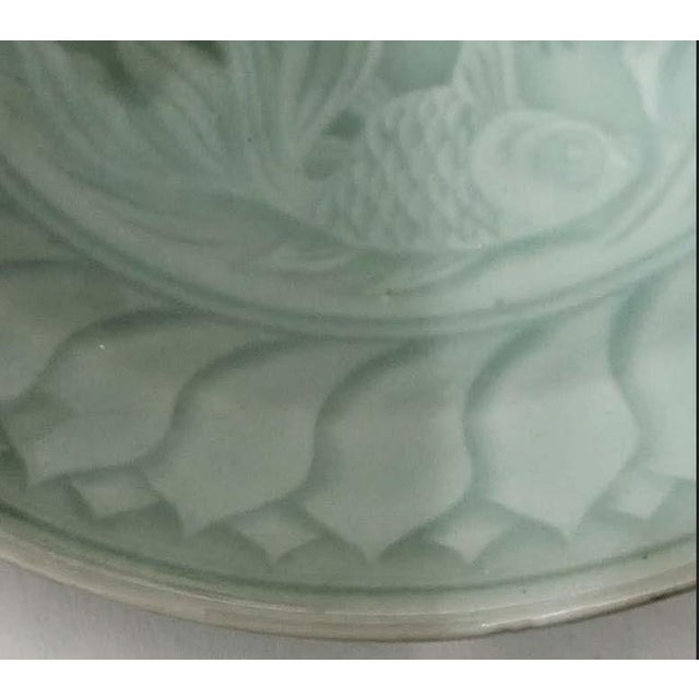 Celadon Koi Fish Plates - Set of 4 For Sale - Image 4 of 6