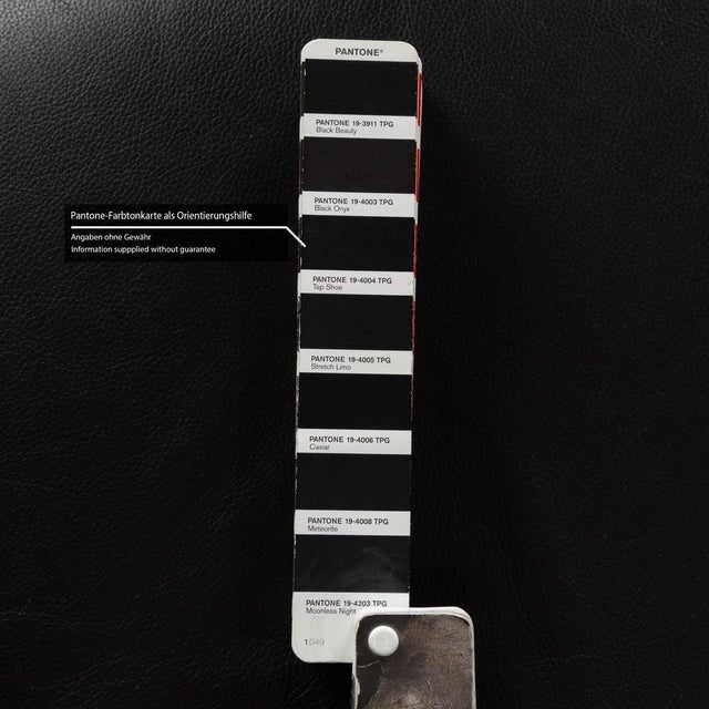 Animal Skin Leather Two-Seater Sofa Black from Wk Wohnen For Sale - Image 7 of 11