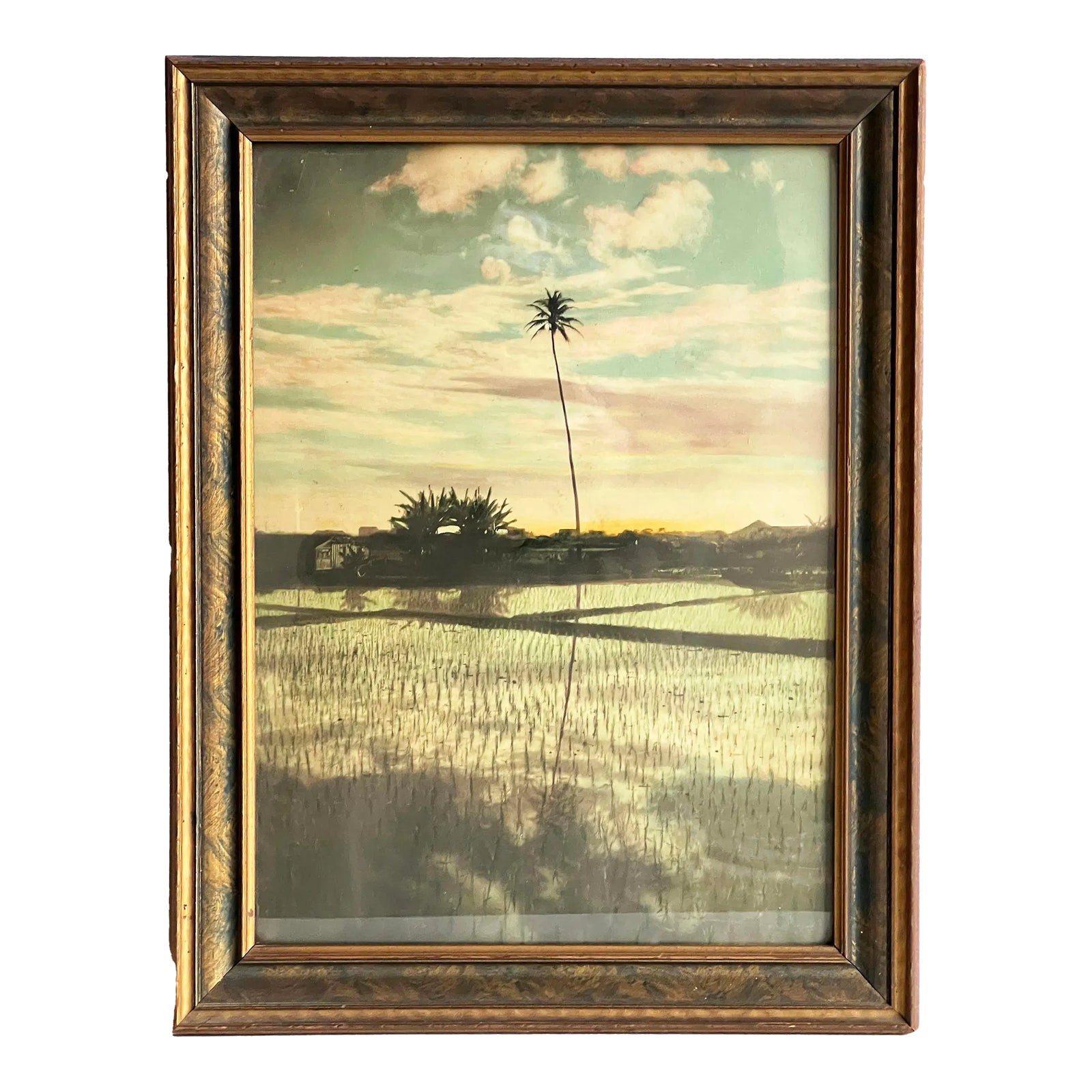 Vintage 1920's Hand Colored Tropical Landscape Photograph of Bali