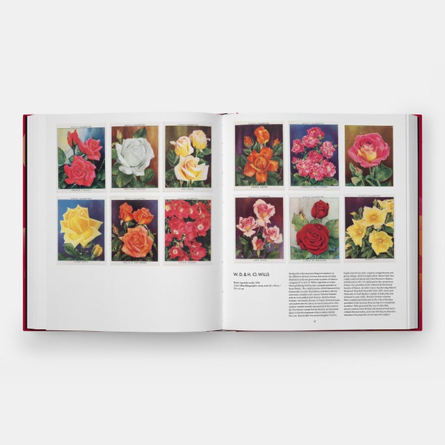 The Rose Book For Sale In New York - Image 6 of 9