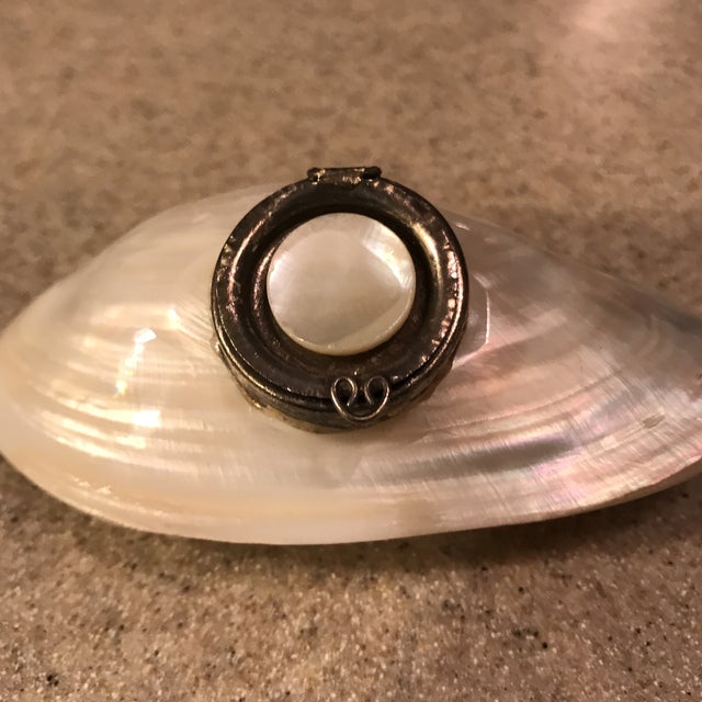 Vintage Real Clam Shell Trinket Jewelry Pill Box | Chairish