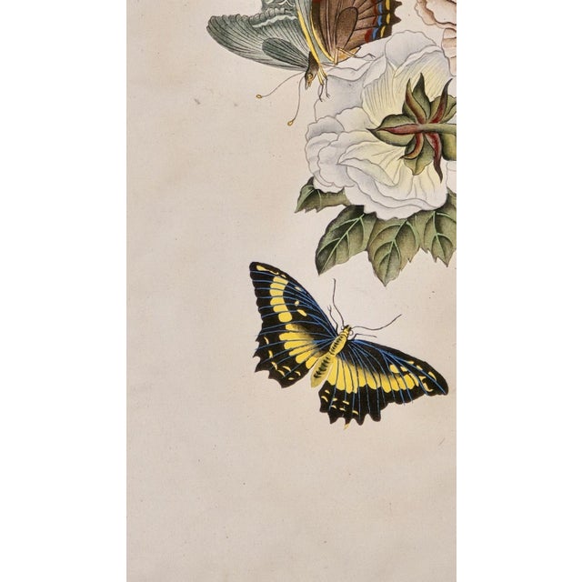 China Trade Painting of Flowers & Butterflies, Circa 1880 For Sale - Image 4 of 6