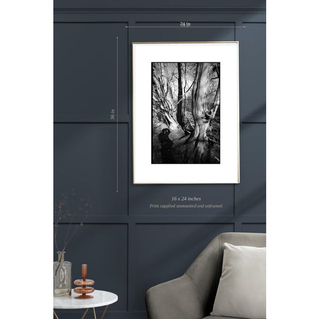 Not Yet Made - Made To Order Paul Cooklin, Shadow Selfie, Edition of 50 For Sale - Image 5 of 7