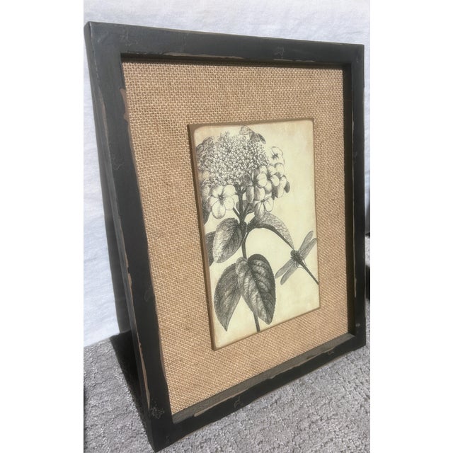 Farmhouse Vintage Rustic Dragonfly and Hydrangea Print, Framed For Sale - Image 3 of 12