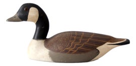 Example of Decoys