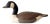 Vintage Hand Carved Painted Canada Goose Decoy For Sale
