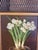 Late 20th Century 20th Century Oil Painting Paper Whites For Sale - Image 5 of 6