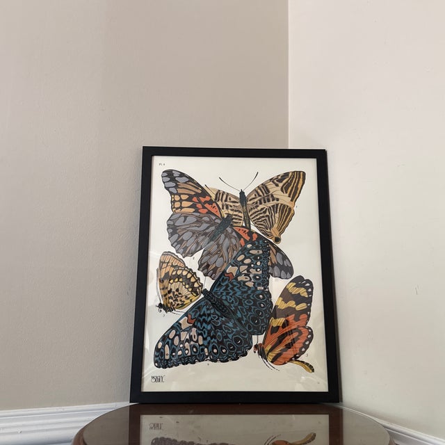 Here we present this beautiful CFA Giclee Edition Insect print 14 by Seguy. This offer is for one image printed at an 18 x...