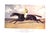 "The Racing World and Its Inhabitants" 1904 Watson, Alfred E. T. For Sale In New York - Image 6 of 12