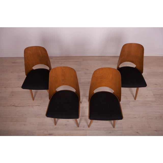 Model Lollipop Dining Chairs from Tatra, 1960s, Set of 4 For Sale - Image 4 of 18