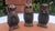 Wooden Carved Dont Speak, Dont Hear, Dont See Monkey Figurines, 1960s, Set of 3 For Sale - Image 3 of 7