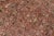 1990s Floral 1990's Pak-Persian Dark Tan/Tan Wool Rug - 9'3'' X 11'10'' For Sale - Image 5 of 9