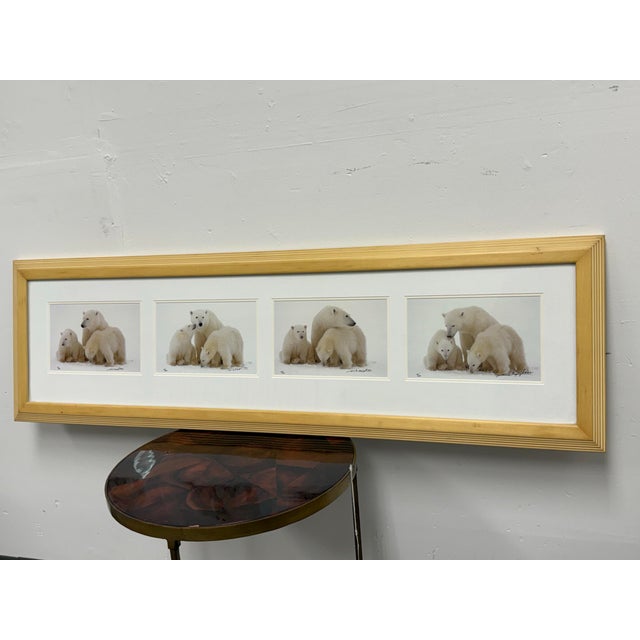 Design Plus Gallery presents Polar Expressions from the Images of Nature Collection by Thomas Mangelsen. The framed and...