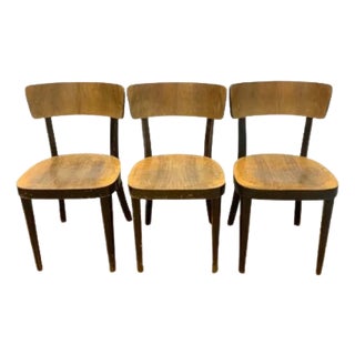 Chairs from Thonet, Czechoslovakia, 1950s, Set of 3 For Sale