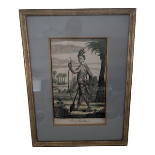 Antique 18thC Jeremias Wolff Hand-Colored Etching Brasilianus For Sale