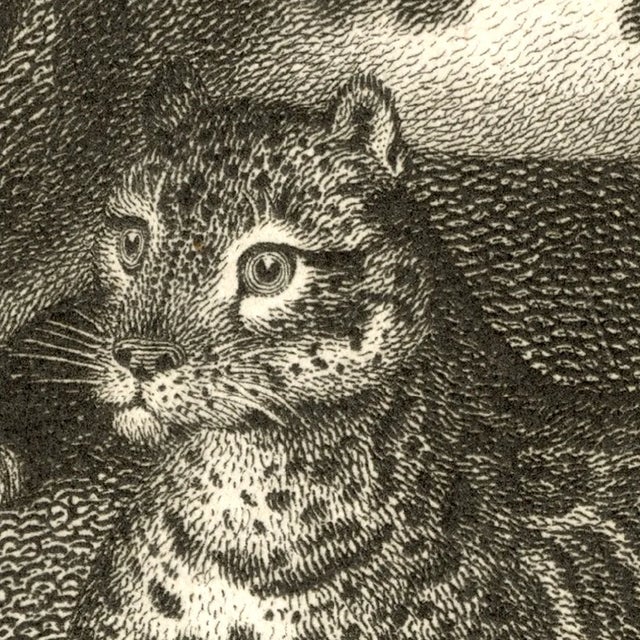 Farmhouse Vintage British Bookplate Print - 3 Cats For Sale - Image 3 of 3