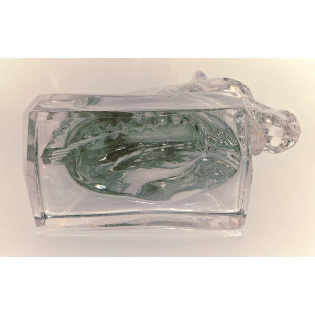 Glass Early 20th Century Striking Heisey, Glass Horse Head. For Sale - Image 7 of 7