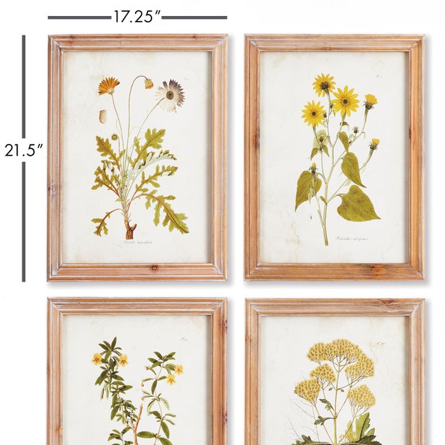 Chinese Golden Wildflower Study, Set Of 4 For Sale - Image 3 of 4