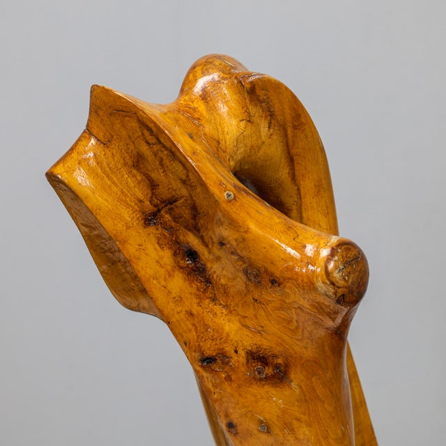 Wood Abstract Organic Wood Sculpture by H. Hinfelaar, Netherlands, 1980s For Sale - Image 7 of 11