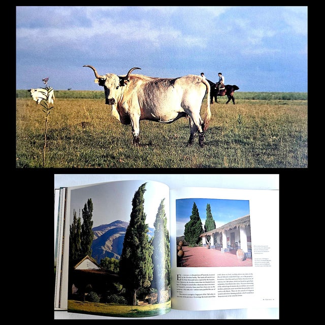 1995 Coffee Table Book, "Argentina: The Great Estancias", Bonifacio Del Carril, Cesar Aira, Tomas De Elia and Juan Pablo Queiroz For Sale - Image 9 of 15