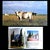 1995 Coffee Table Book, "Argentina: The Great Estancias", Bonifacio Del Carril, Cesar Aira, Tomas De Elia and Juan Pablo Queiroz For Sale - Image 9 of 15