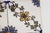19th Century Set of Four Floral Tiles, Portuguese Baroque For Sale - Image 9 of 15