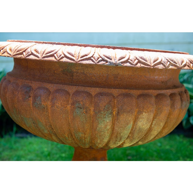 Metal Pair Monumental Cast Iron Urn Planters For Sale - Image 7 of 9