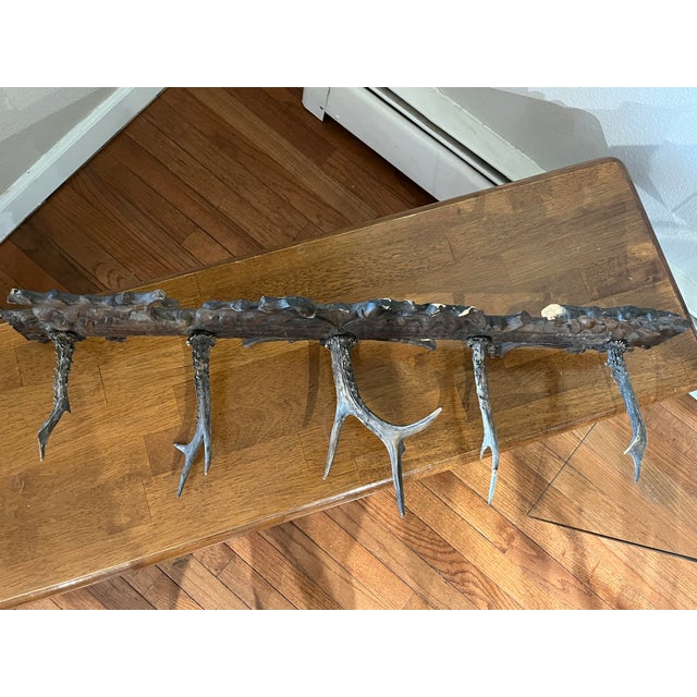 Coffee Antique 19th Century German Black Forest Carved Wood and Antler Wall Rack For Sale - Image 8 of 12