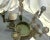 Antique Architectural Salvage Bronze Regency Royal Lion Epergne Coffee Table For Sale - Image 10 of 13