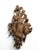 Antique Black Forest Carved Hunting Trophies, 1880s, Set of 2 For Sale - Image 4 of 12