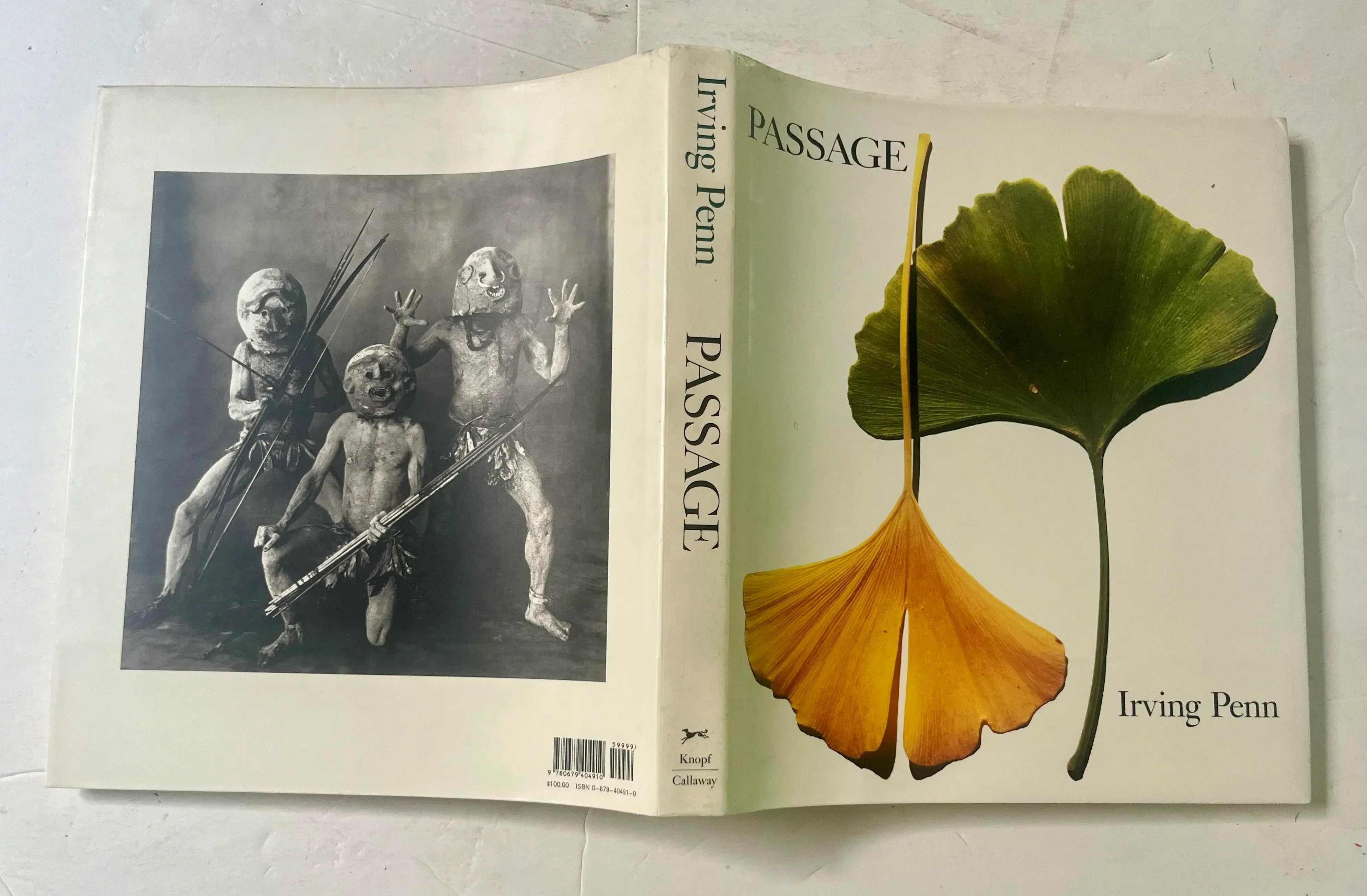 Passage: A Work Record by Irving Penn, 1991, 1st Edition | Chairish
