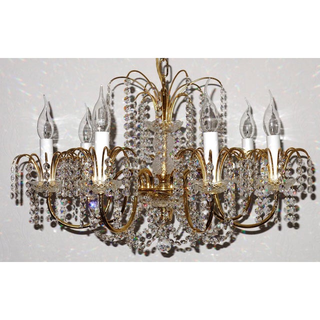 Brass Lead Crystal 24k Gold Plated Seven Light Chandelier from Sölken Leuchten, 1970s For Sale - Image 10 of 10