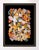 Paper Tray of Color Poppies Black Background For Sale - Image 7 of 7