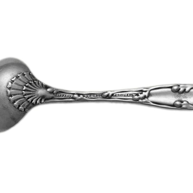 Tiffany and Co. Antique Tiffany & Co. Sterling Salt Cellar Spoon Ladle For Sale - Image 4 of 5